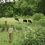 Vakantiehuis Vosseven 15 Haasje *