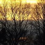 Vakantiehuis Vosseven 15 Haasje