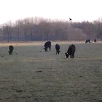 Vosseven 15 Haasje Vakantiehuis