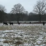 Vosseven 15 Haasje Vakantiehuis Stramproy