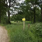 Vosseven 15 Haasje Vakantiehuis *