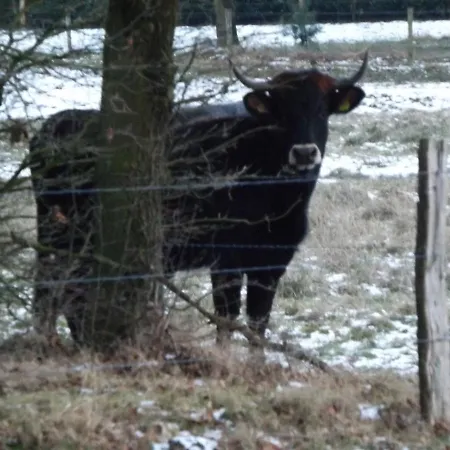 Vosseven 15 Haasje Дом отдыха *