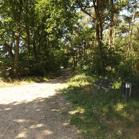 Vosseven 15 Haasje Stramproy