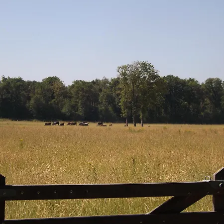 Vosseven 15 Haasje * Stramproy