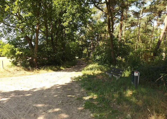 Vosseven 15 Haasje Stramproy