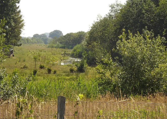 別荘 Vosseven 15 Haasje Stramproy