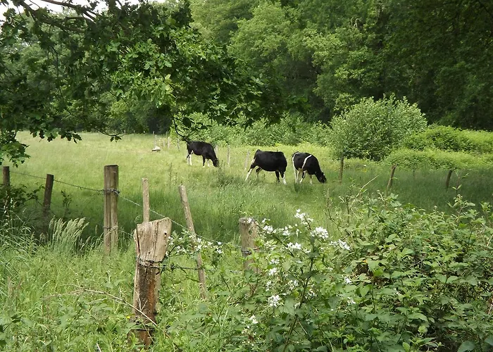 別荘 Vosseven 15 Haasje *