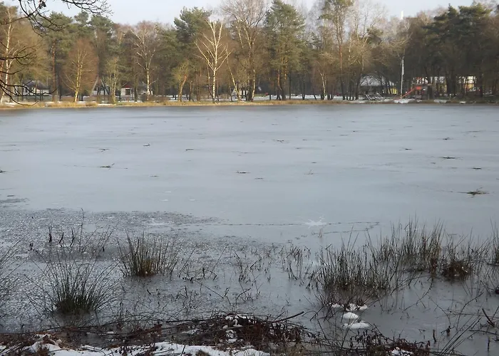 Vosseven 15 Haasje 別荘 Stramproy