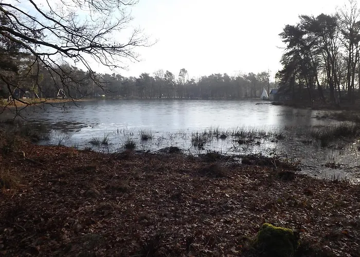 別荘 Vosseven 15 Haasje Stramproy