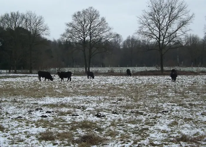 Vosseven 15 Haasje 別荘 Stramproy