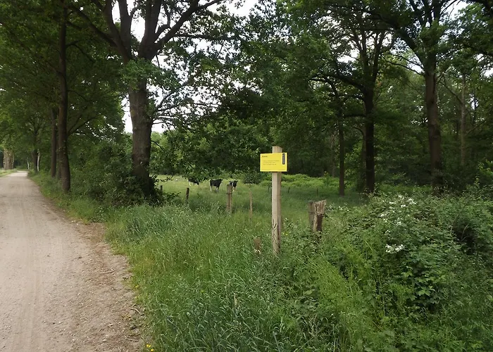 Vosseven 15 Haasje 別荘 *