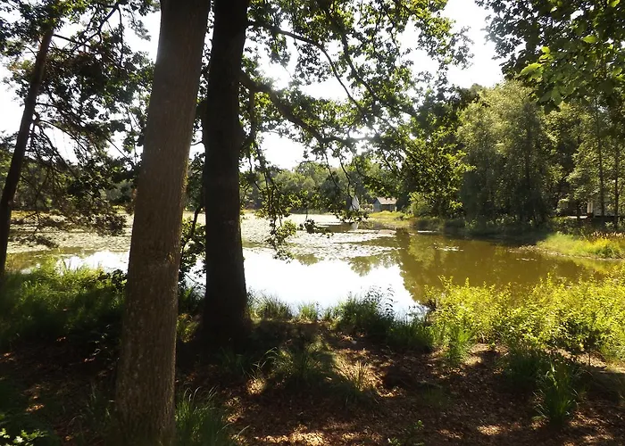 Vosseven 15 Haasje 別荘