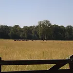 Vosseven 15 Haasje * Stramproy