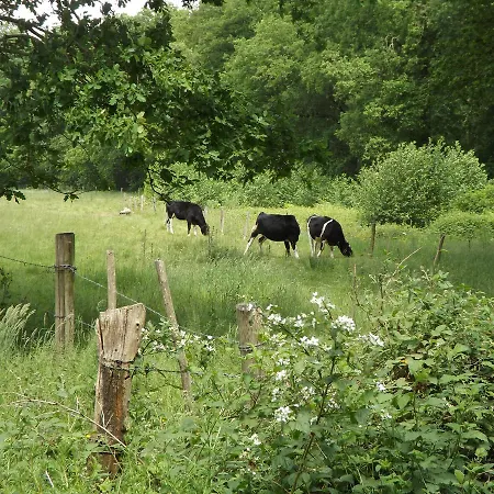 Semesterbostad Vosseven 15 Haasje *