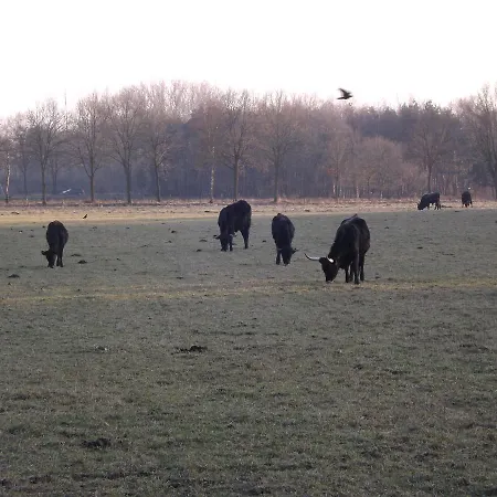 Vosseven 15 Haasje Semesterbostad