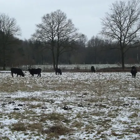 Vosseven 15 Haasje Semesterbostad Stramproy