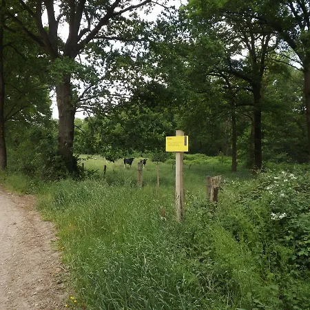 Vosseven 15 Haasje Semesterbostad *