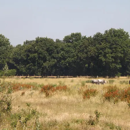 Vosseven 15 Haasje Semesterbostad